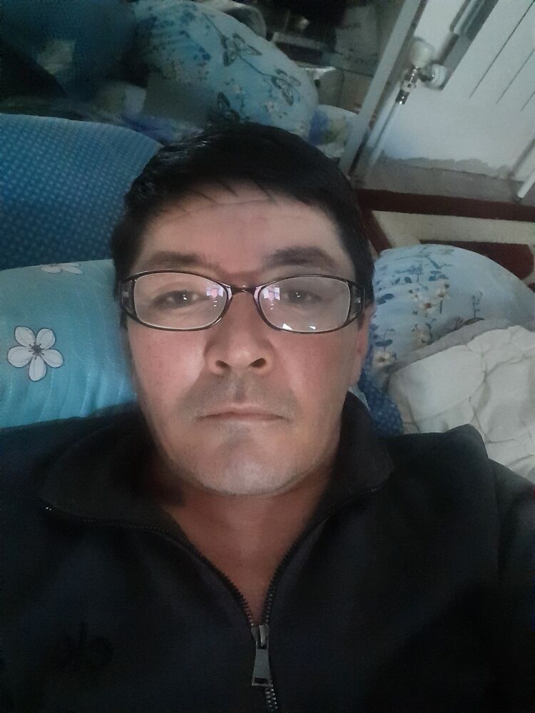  42412356  , 51 ,    