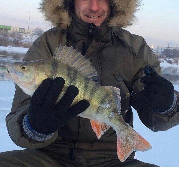 ���� 21589486 ������� �������, 38 ���, ���� ���������� � ������������