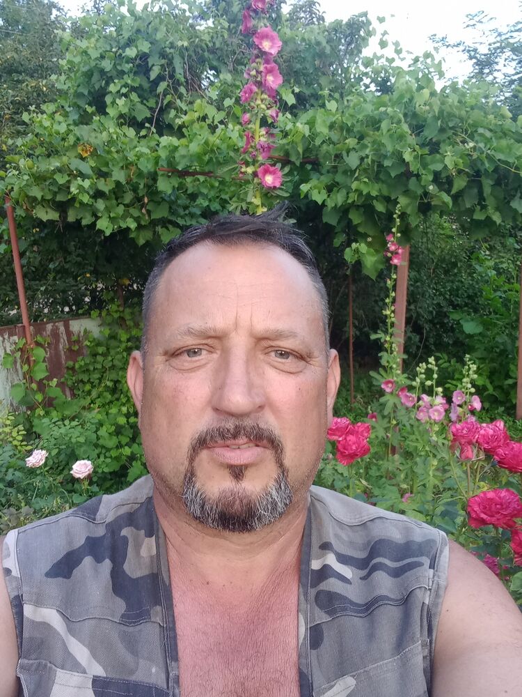  45834806  , 55 ,    