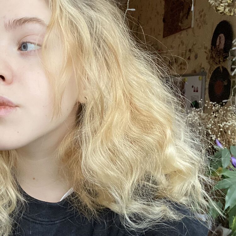  33058996  , 21 ,    -