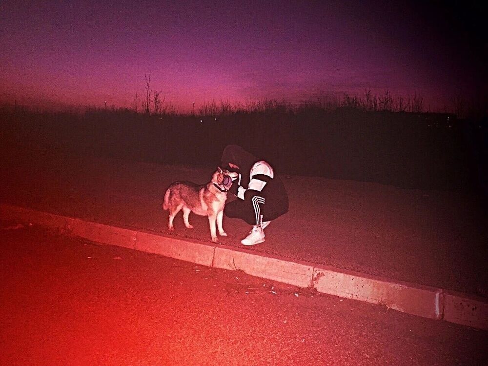  45179786  , 29 ,    