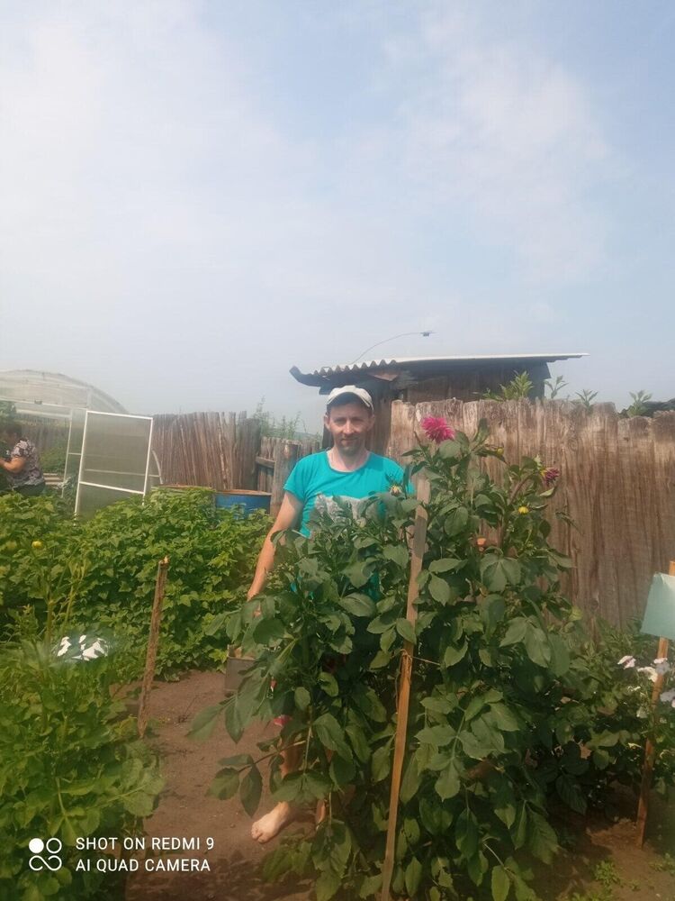 ���� 25383096 ������� �������, 38 ���, ���� ���������� � ��������