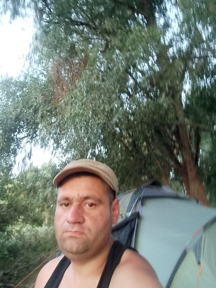 ���� 50791556 ������� �������, 38 ���, ���� ���������� � ��������