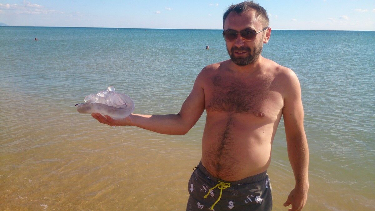 ���� 11382036 ������� ������, 46 ���, ���� ���������� � ������