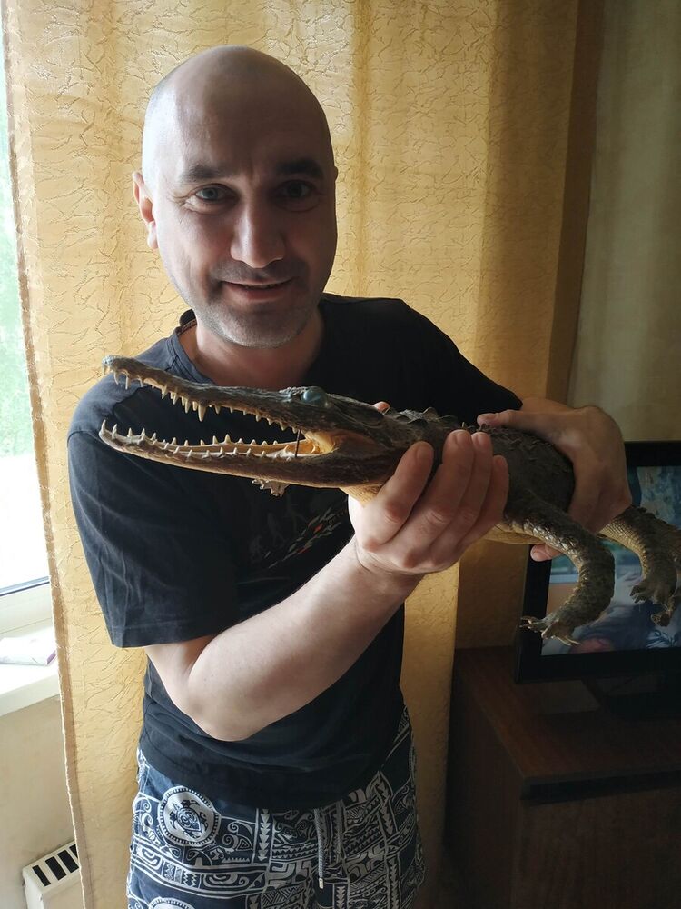 ���� 20928256 ������� ������ ����, 44 ����, ���� ���������� � ������