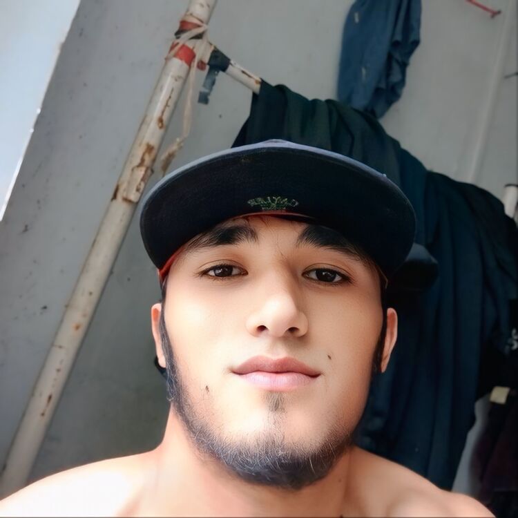  52753216  , 22 ,    