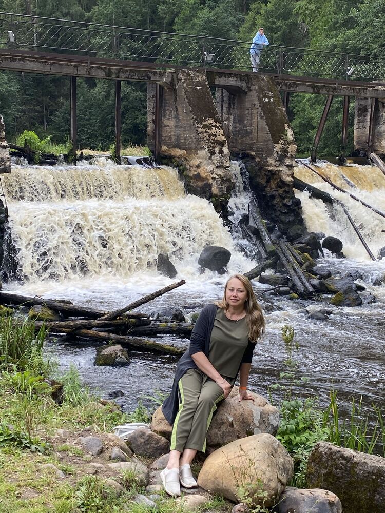  53964566  , 49 ,    -