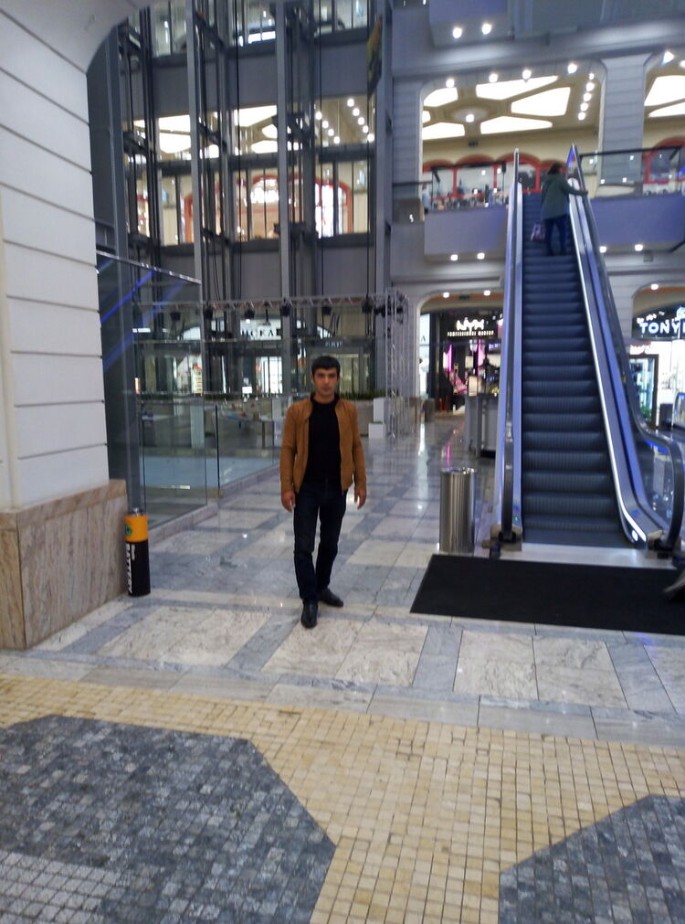 ���� 15907206 ������� �����, 36 ���, ���� ���������� � ��������