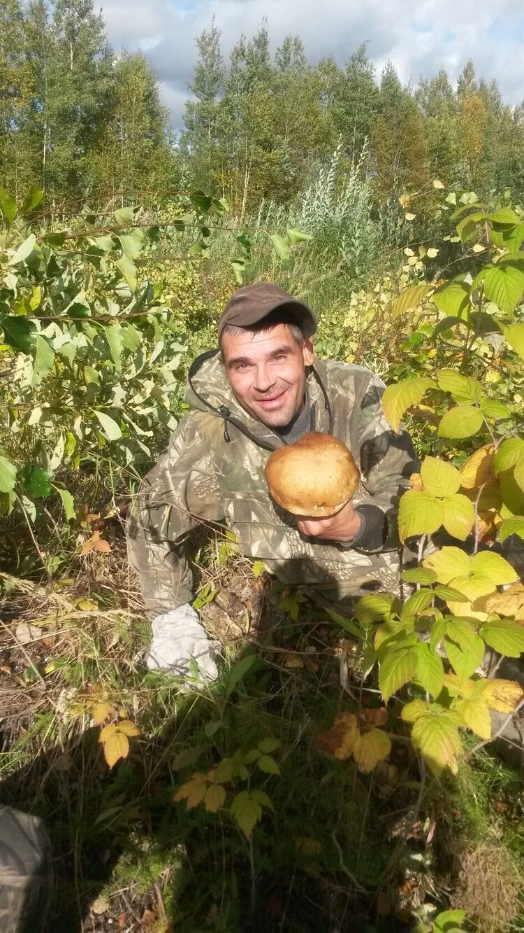  44543226  , 41 ,    -