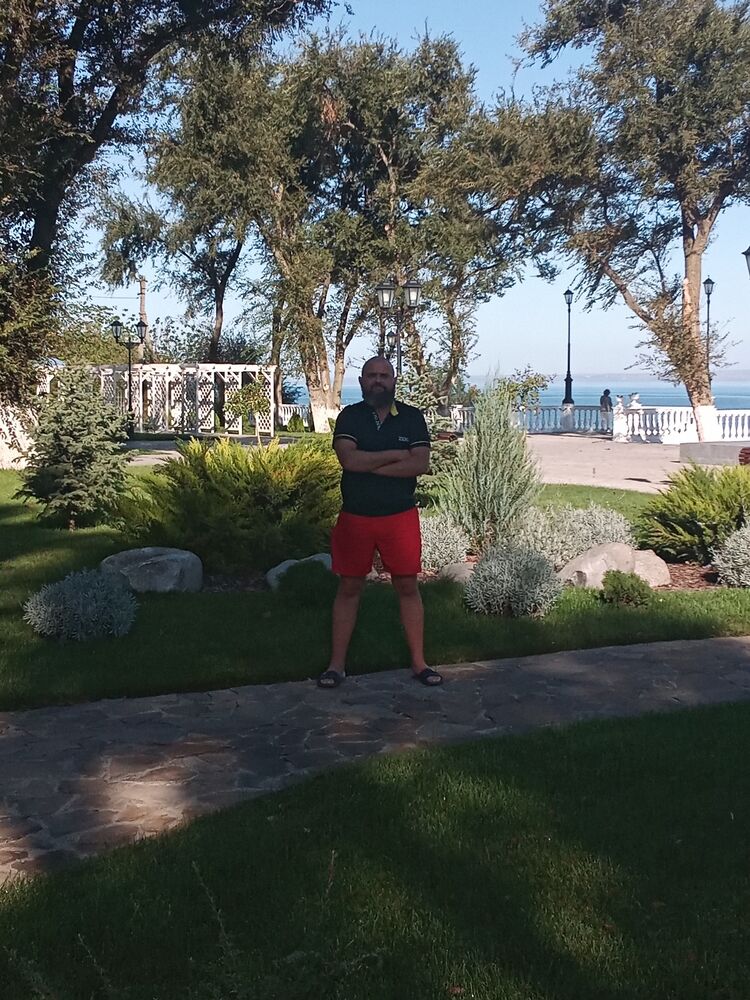  --,   , 43 ,   ,   