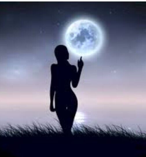 ���� 55423566 ������� ��������, 36 ���, ���� ���������� � ��������