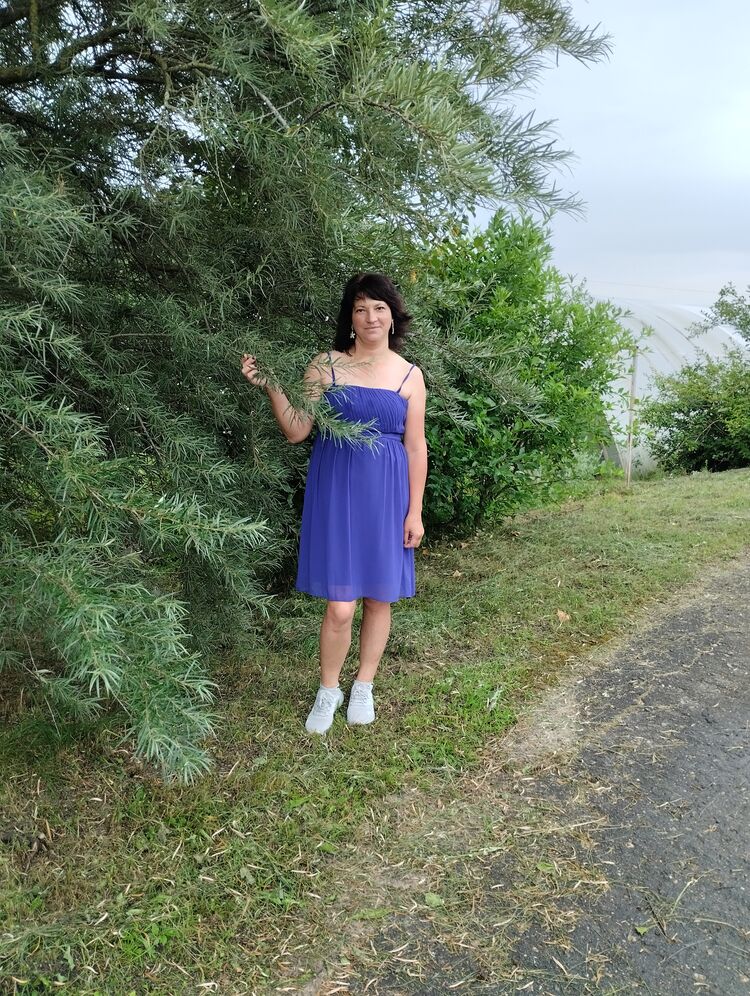 ���������� �����������, ���� ������� �����, 41 ���, ������������ ��� c�������� ���������, ���������