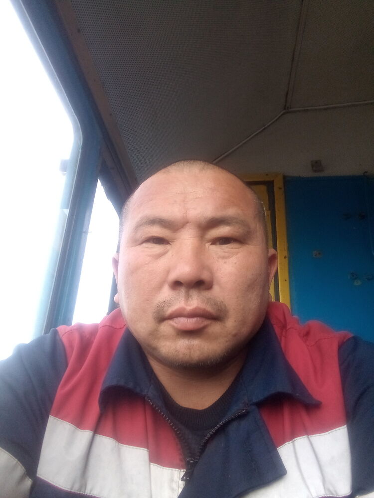  24204346  , 46 ,    