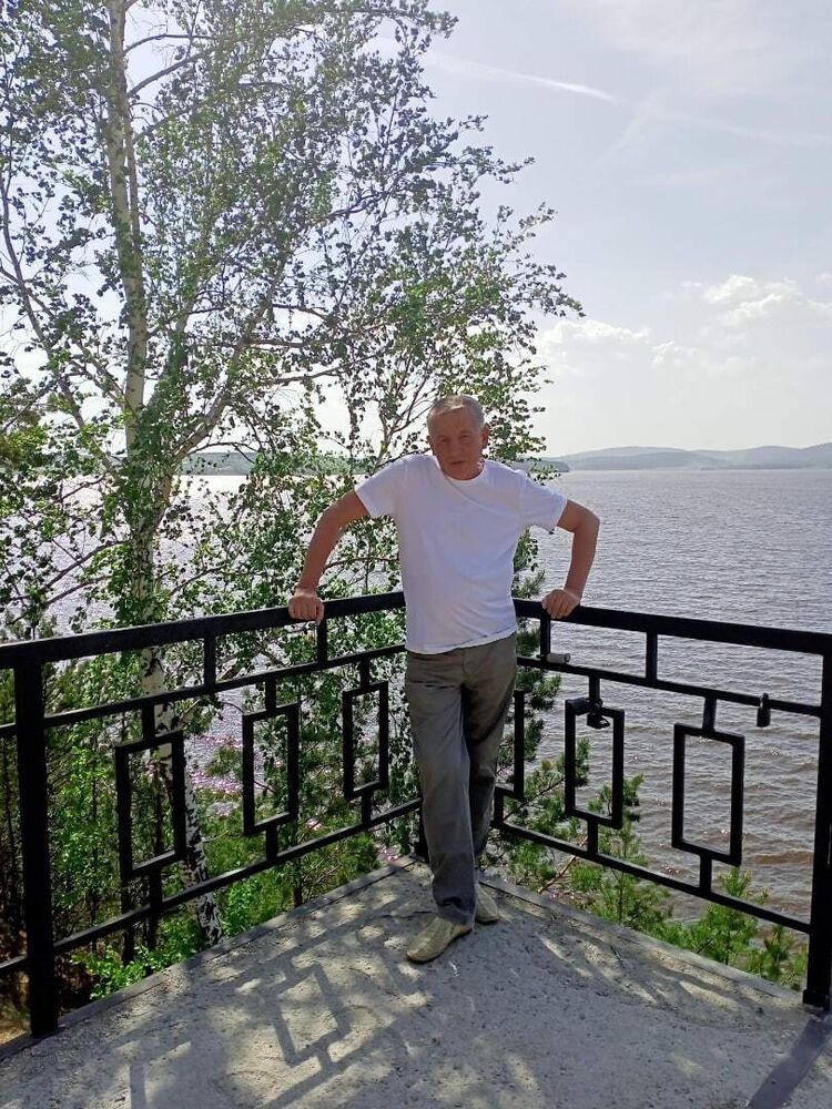  29586596  , 56 ,    -