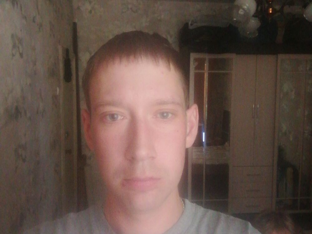  52837686  , 31 ,    