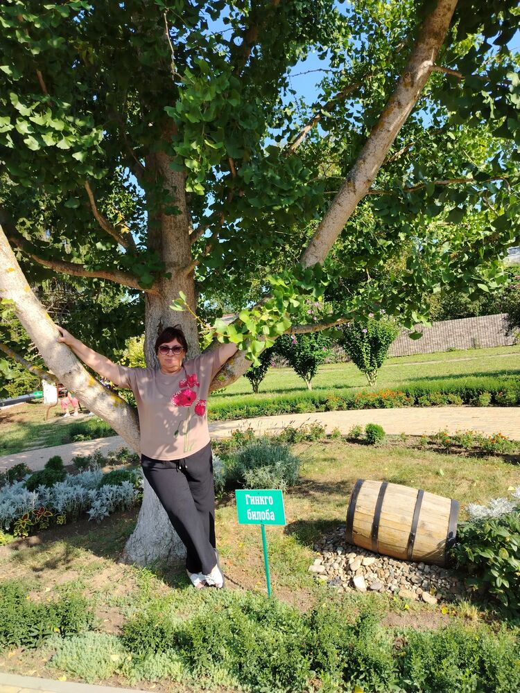 ���������� ����, ���� ������� �����, 65 ���, ������������ ��� c�������� ���������, ���������