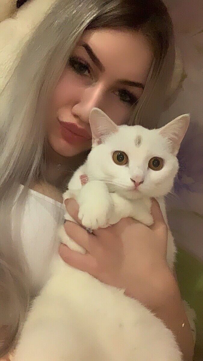 ���������� ������, ���� ������� ������, 29 ���, ������������ ��� ������, ����� � ���������