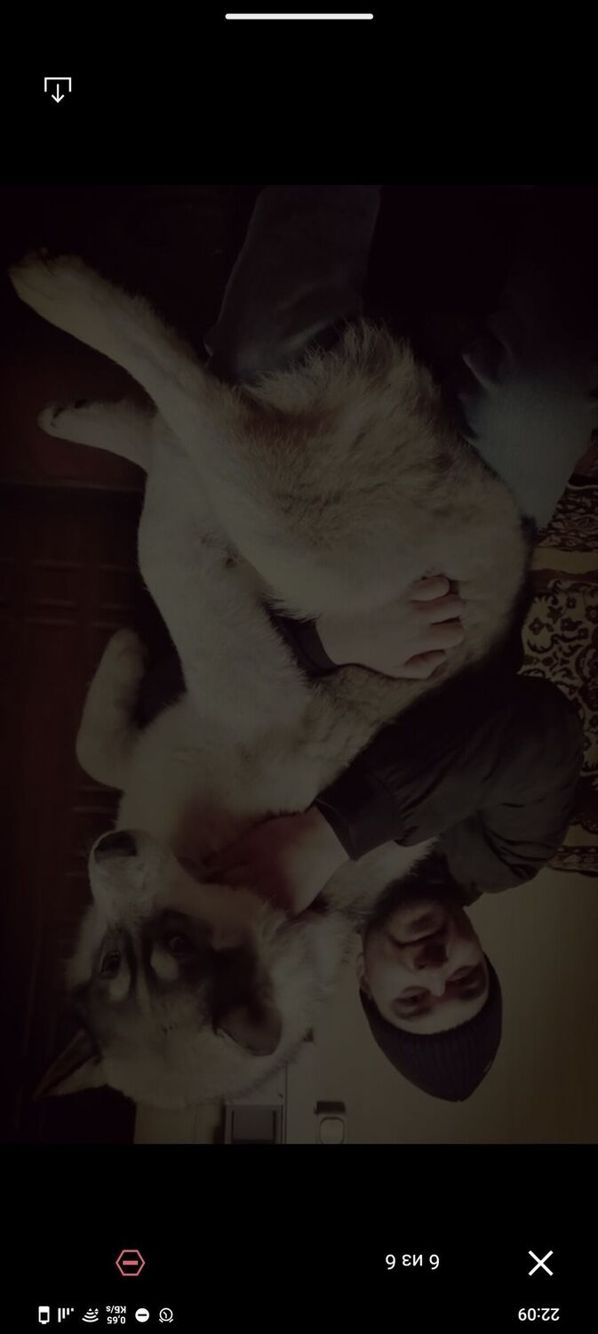 ���������� �����, ���� ������� E���, 30 ���, ������������ ��� ������, ����� � ���������, ���������