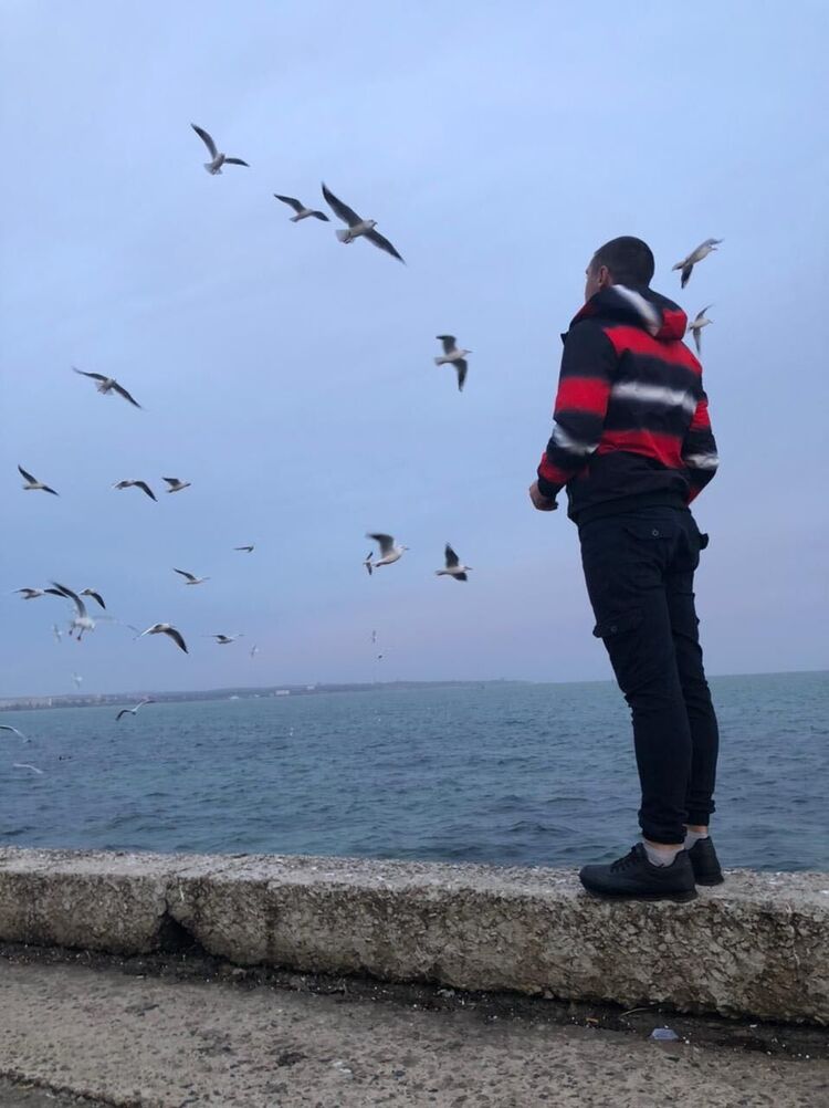  38120336  , 33 ,    