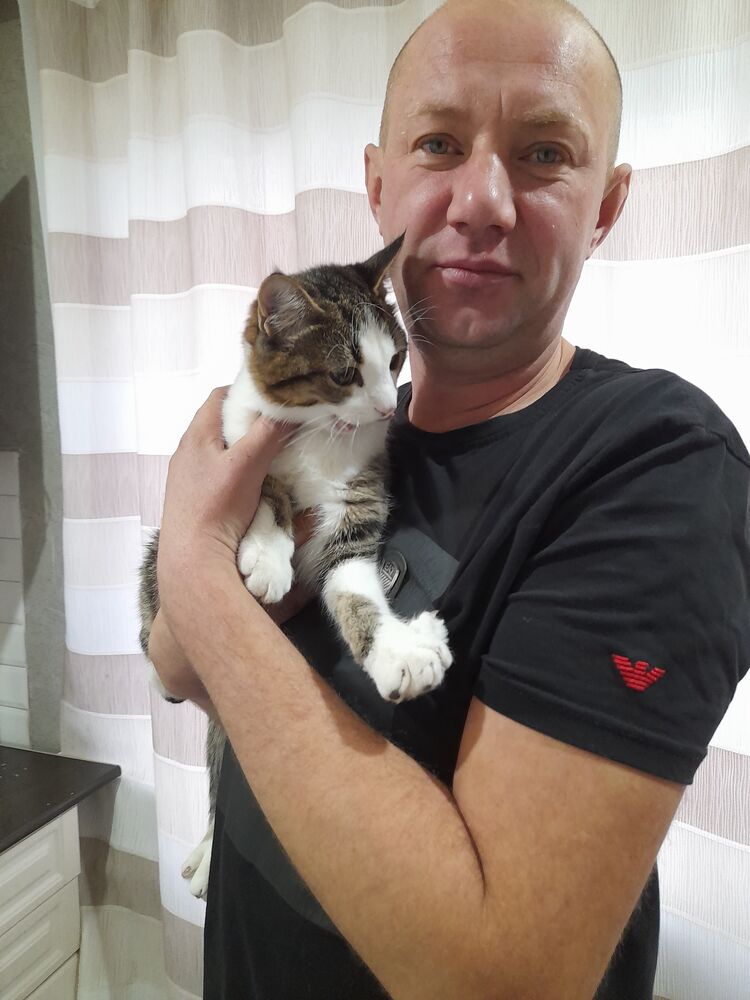 ���� 31209976 ������� �������, 43 ����, ���� ���������� � ������