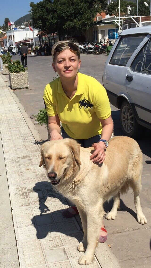  ,   Natalya, 53 ,   ,   , c 