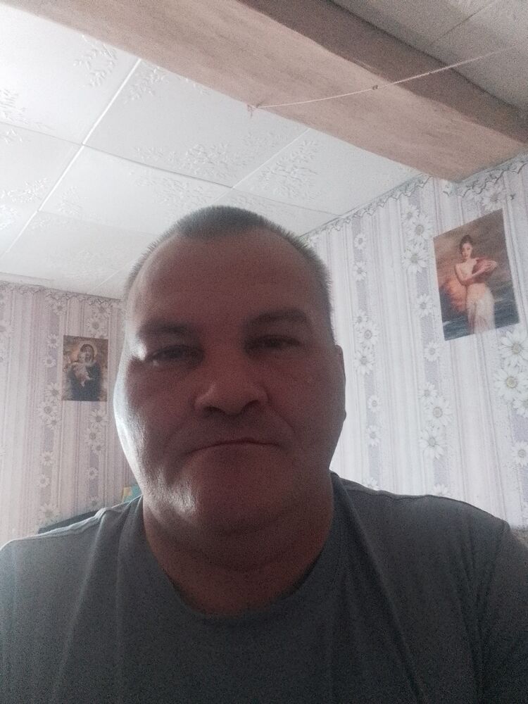  43054186   , 46 ,    