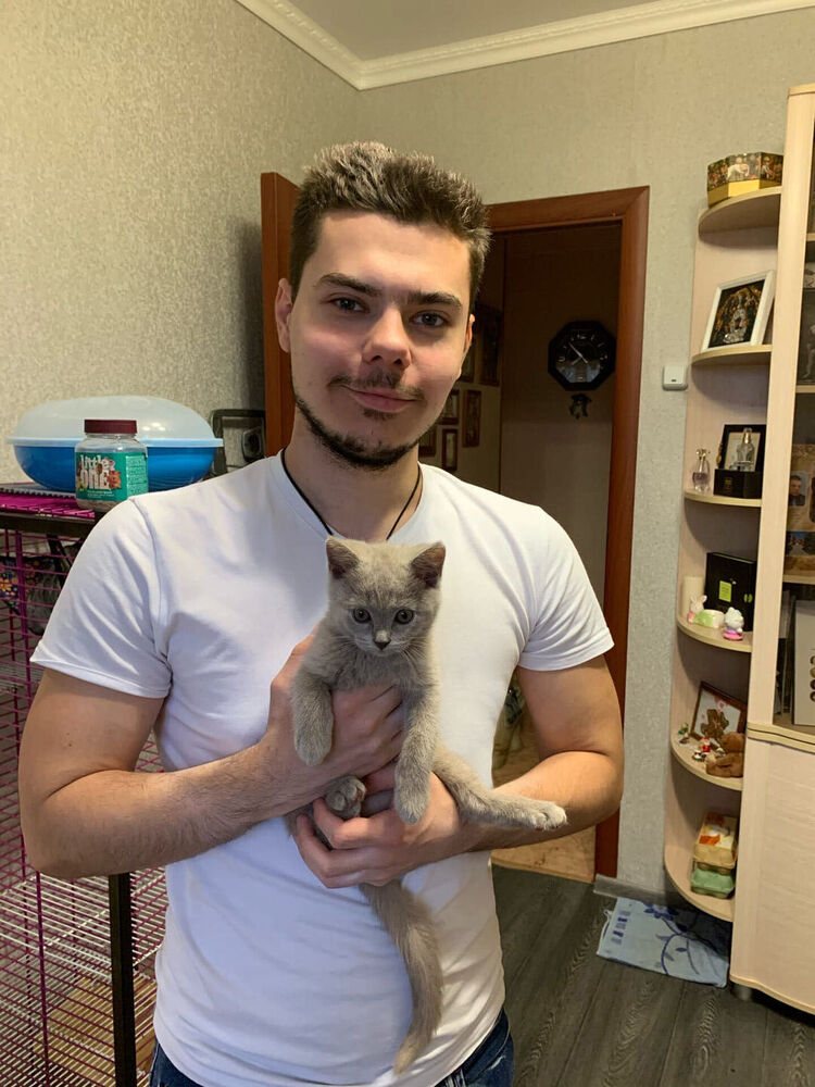 ���� 27412546 ������� �������, 29 ���, ���� ���������� � ������