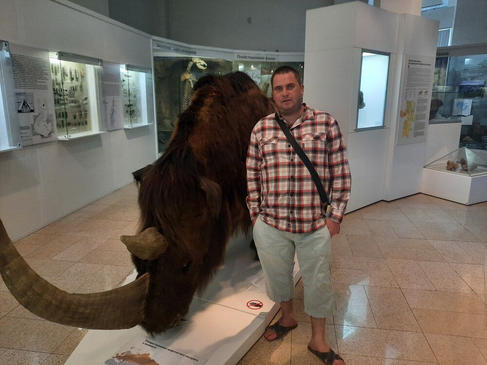 ���������� ���������, ���� ������� ���������, 37 ���, ������������ ��� ������, ����� � ���������