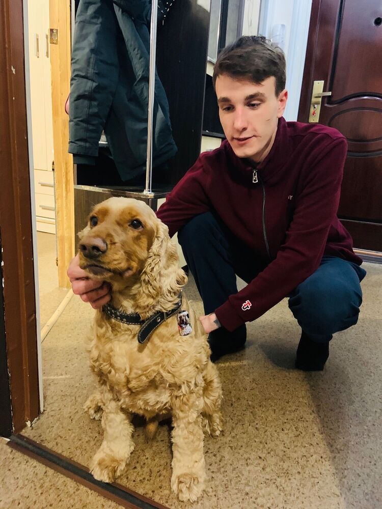 ���� 33135716 ������� ���������, 27 ���, ���� ���������� � ���������