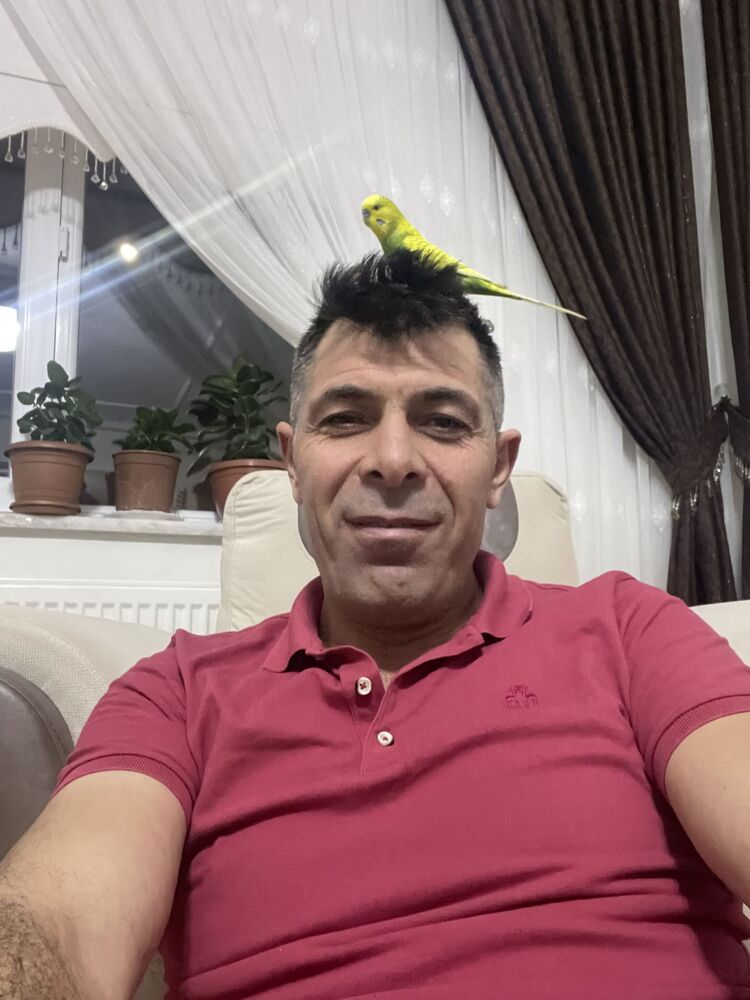 ���������� �����-���������, ���� ������� �����, 42 ����, ������������ ��� ������, ����� � ���������