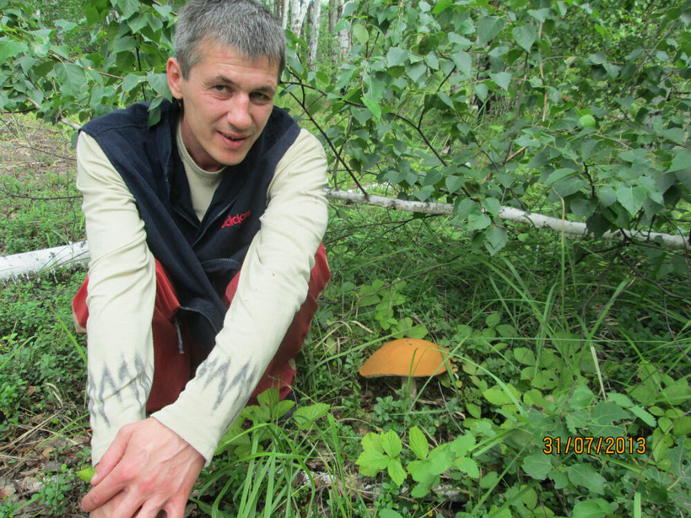 ���� 6167466 ������� ����, 51 ���, ���� ���������� � �������