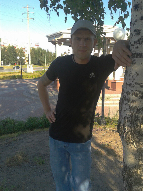  53809356  , 43 ,    