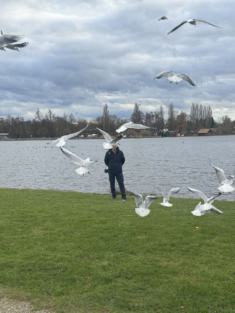  Homberg,   Zhivar, 50 ,   ,   