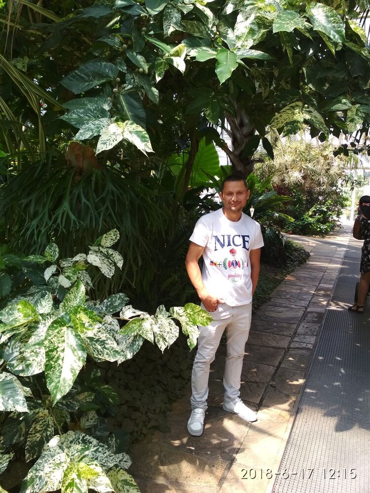  ,   Tudor, 39 ,   ,   , c 