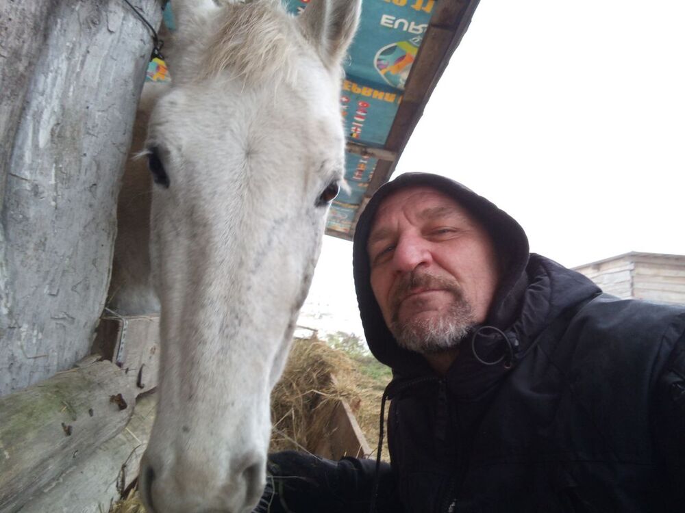 ���� 55649976 ������� �������, 49 ���, ���� ���������� � ��������