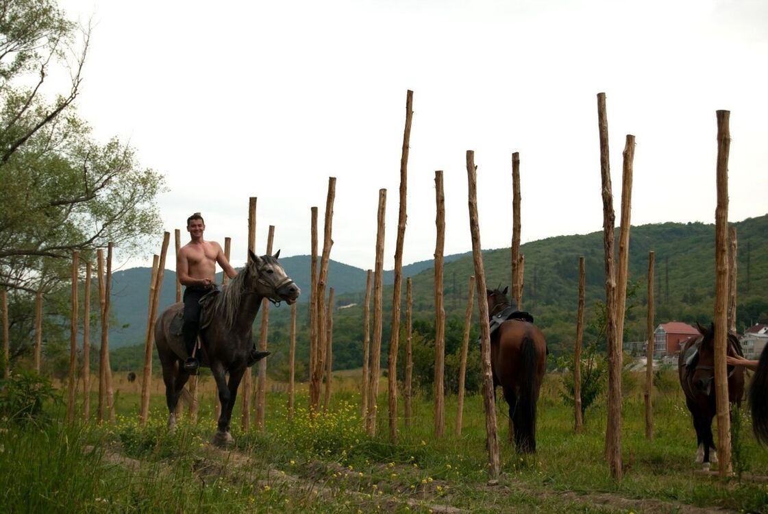 ���������� ���������, ���� ������� ������, 39 ���, ������������ ��� ������, ����� � ���������, c�������� ���������