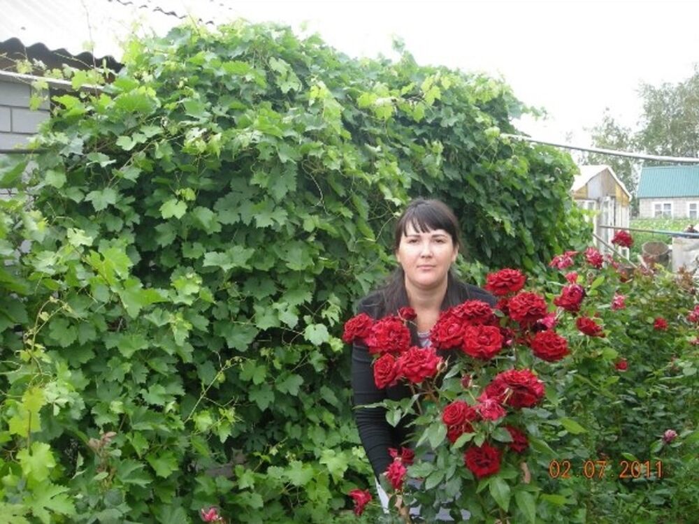 ���� 5553776 ������� ��������, 45 ���, ���� ���������� � ��������