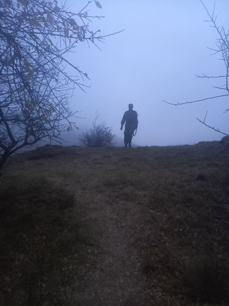 ���� 23268006 ������� Gogi, 36 ���, ���� ���������� � �������