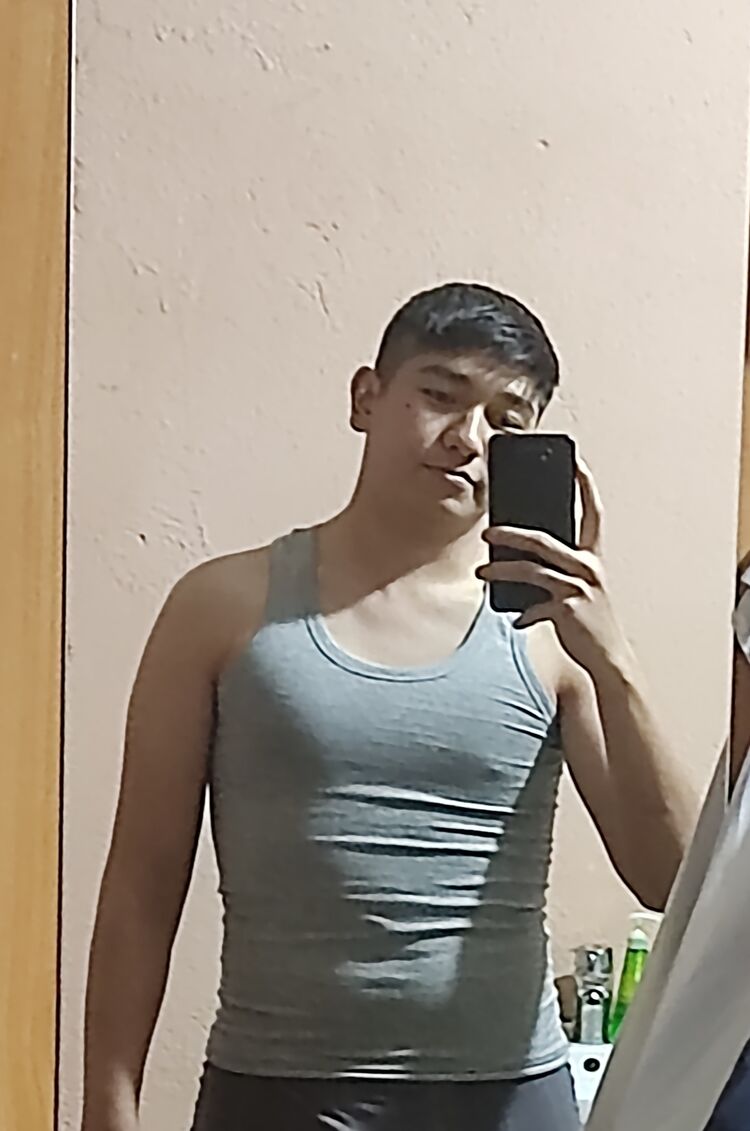 ���� 43091546 ������� Ariva, 26 ���, ���� ���������� � �������