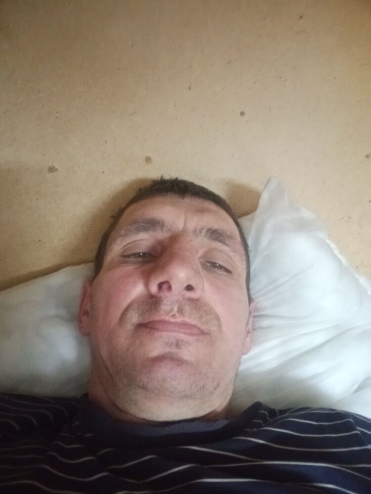  50552256  , 41 ,    -