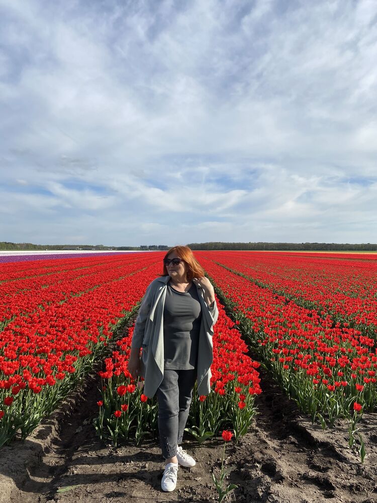 ���������� Hoogeveen, ���� ������� �������, 67 ���, ������������ ��� ����� � ���������, c�������� ���������