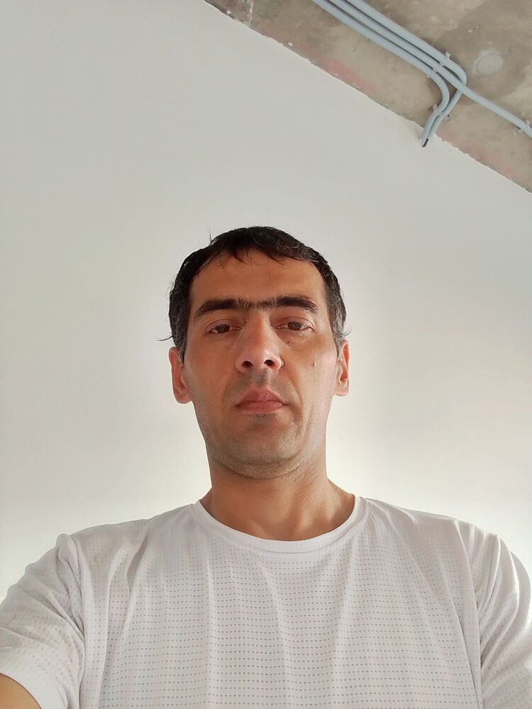  53081626  , 30 ,    