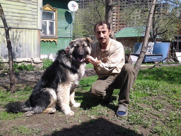 ���� 4496186 ������� ����� ������, 61 ���, ���� ���������� � ������