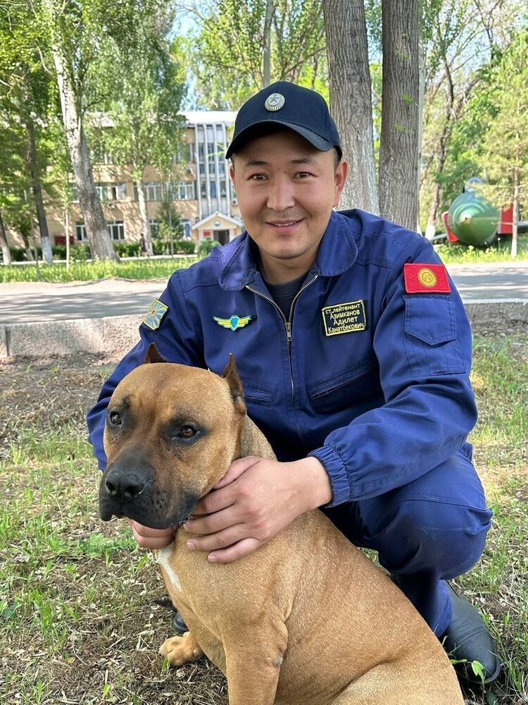  ,   Adilet, 30 ,   ,   