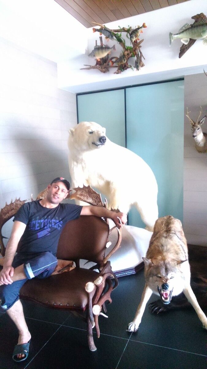 ���������� ������������, ���� ������� ������, 43 ����, ������������ ��� ����� � ���������, c�������� ���������