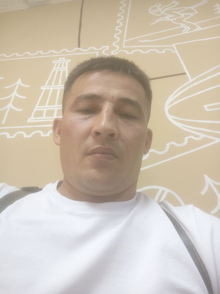  38221866  , 33 ,    