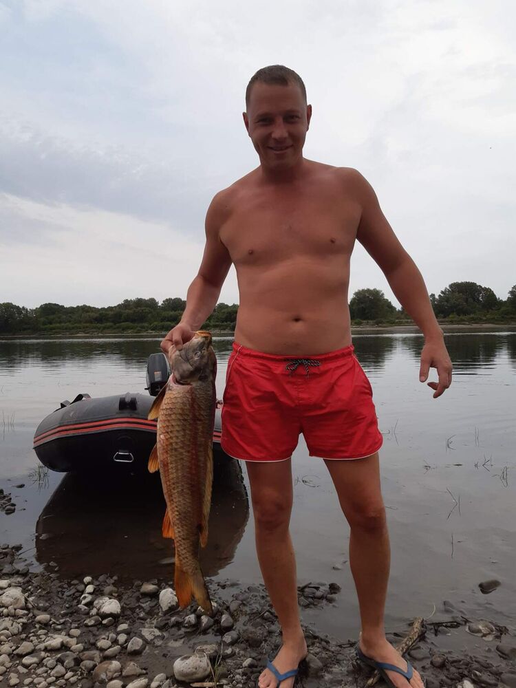 ���������� �����������, ���� ������� ������, 40 ���, ������������ ��� ������, ����� � ���������, ���������