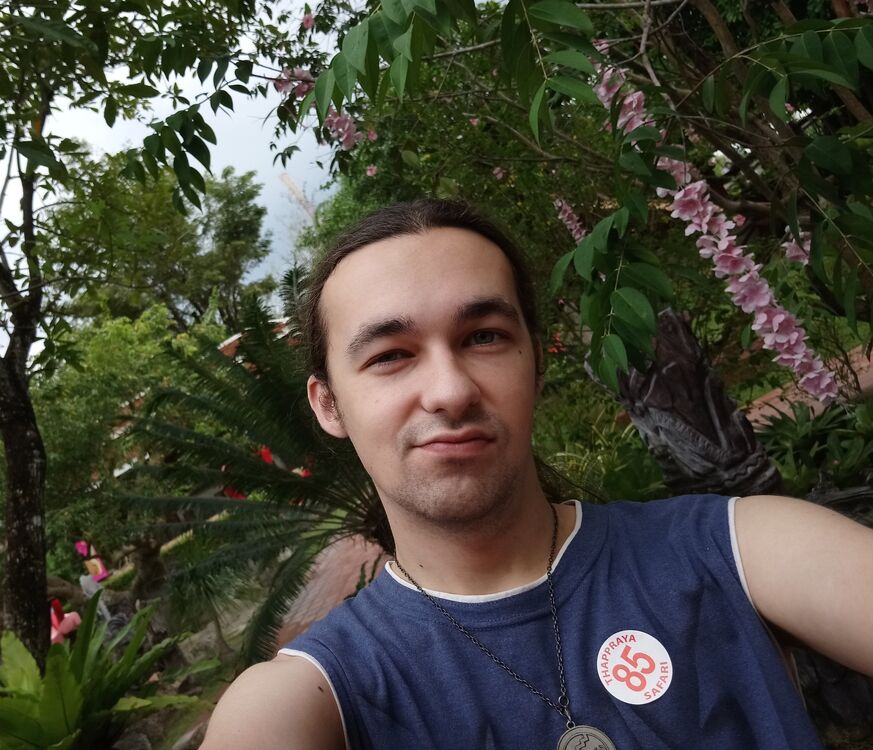  54353396  , 31 ,    -