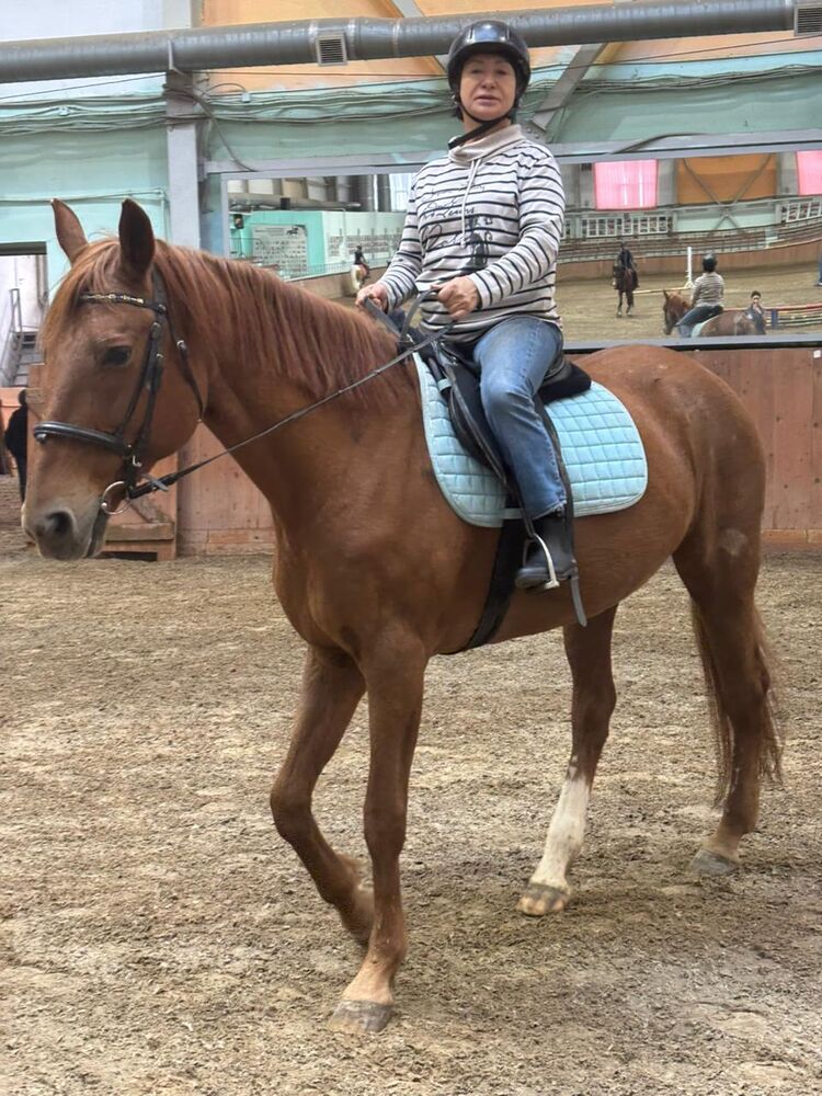 ���������� ���������, ���� ������� �����, 56 ���, ������������ ��� ������, ����� � ���������