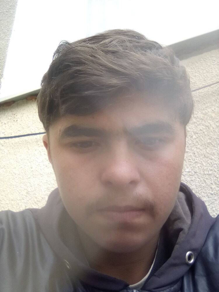  33668646  , 20 ,    